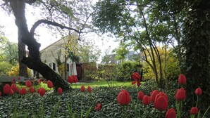 A garden with red tulips and a large tree.