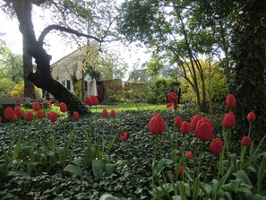 Property grounds - Quiet retreat on the outskirts of Berlin (Teltow)