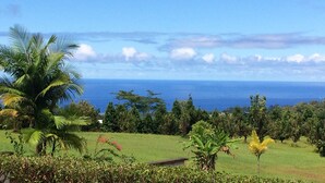 Paisaje tropical con vista al océano, palmeras y una zona verde con una pequeña construcción.