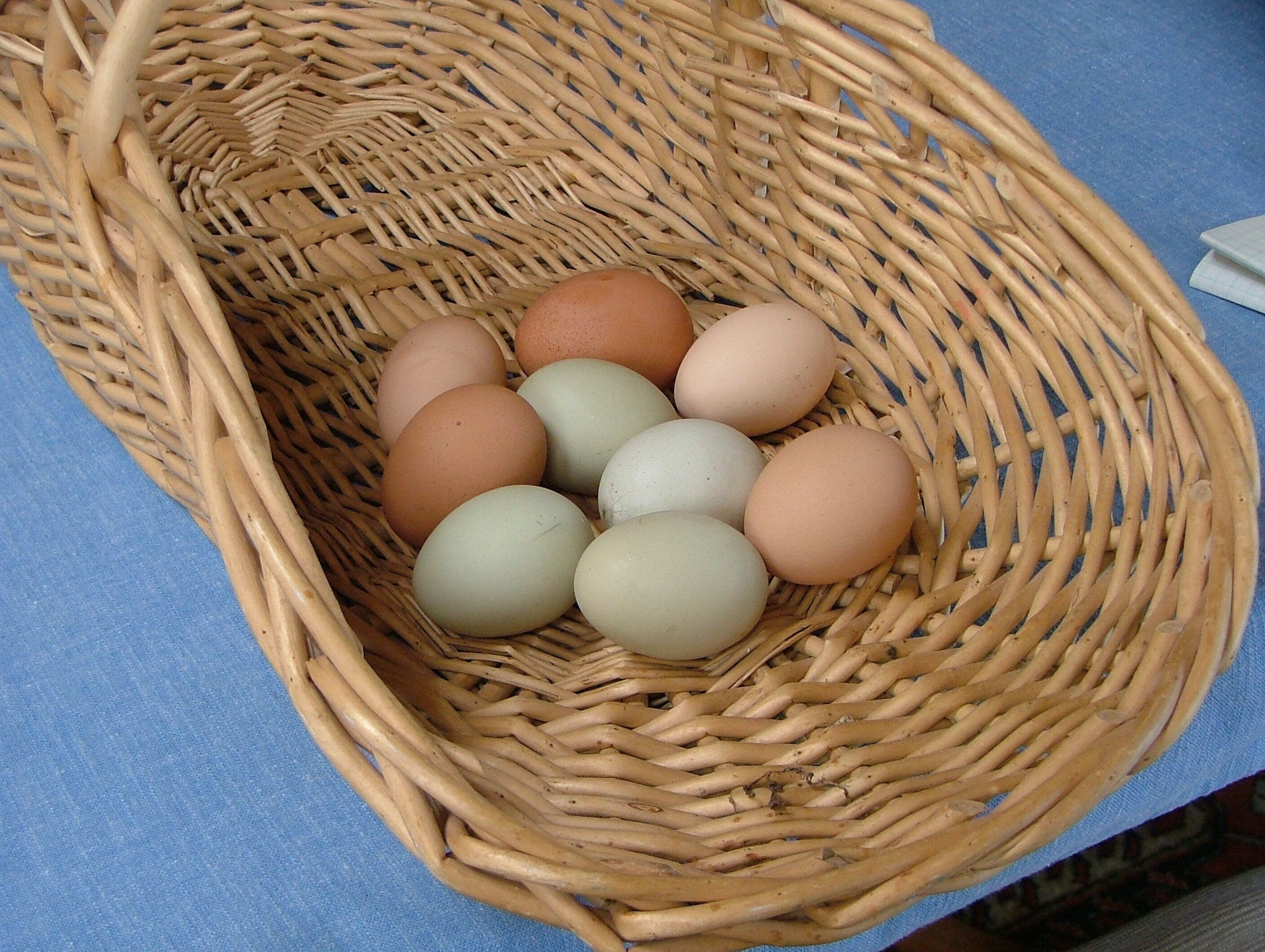 Un panier en osier contenant plusieurs œufs, posé sur une surface bleue.