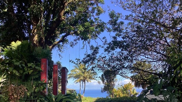 A paved pathway leading to a gate with red pillars, surrounded by lush greenery and palm trees, with a view of the ocean in the background. - Paradise Ocean View Private Cottage Solar Power Tropical Flower Gardens (Hana)