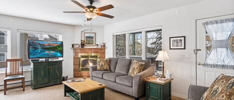 TV, fireplace, DVD player, books
