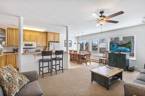 Televisio, takka, DVD-soitin, kirjoja