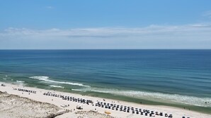 A beach with rows of umbrellas and beach chairs, a sandy shore, and the ocean. -  Gulf Front views- Tower 1-17Th floor-  Pensacola Beach  (Pensacola Beach)