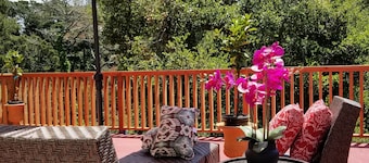 Carmel-by-the-Sea Escape