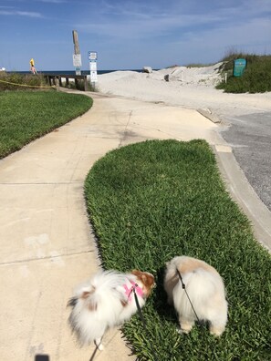 Terrain de l’hébergement 