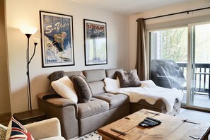 Smart TV, fireplace, DVD player, books