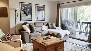 TV, fireplace, DVD player, books