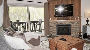 TV, fireplace, DVD player, books