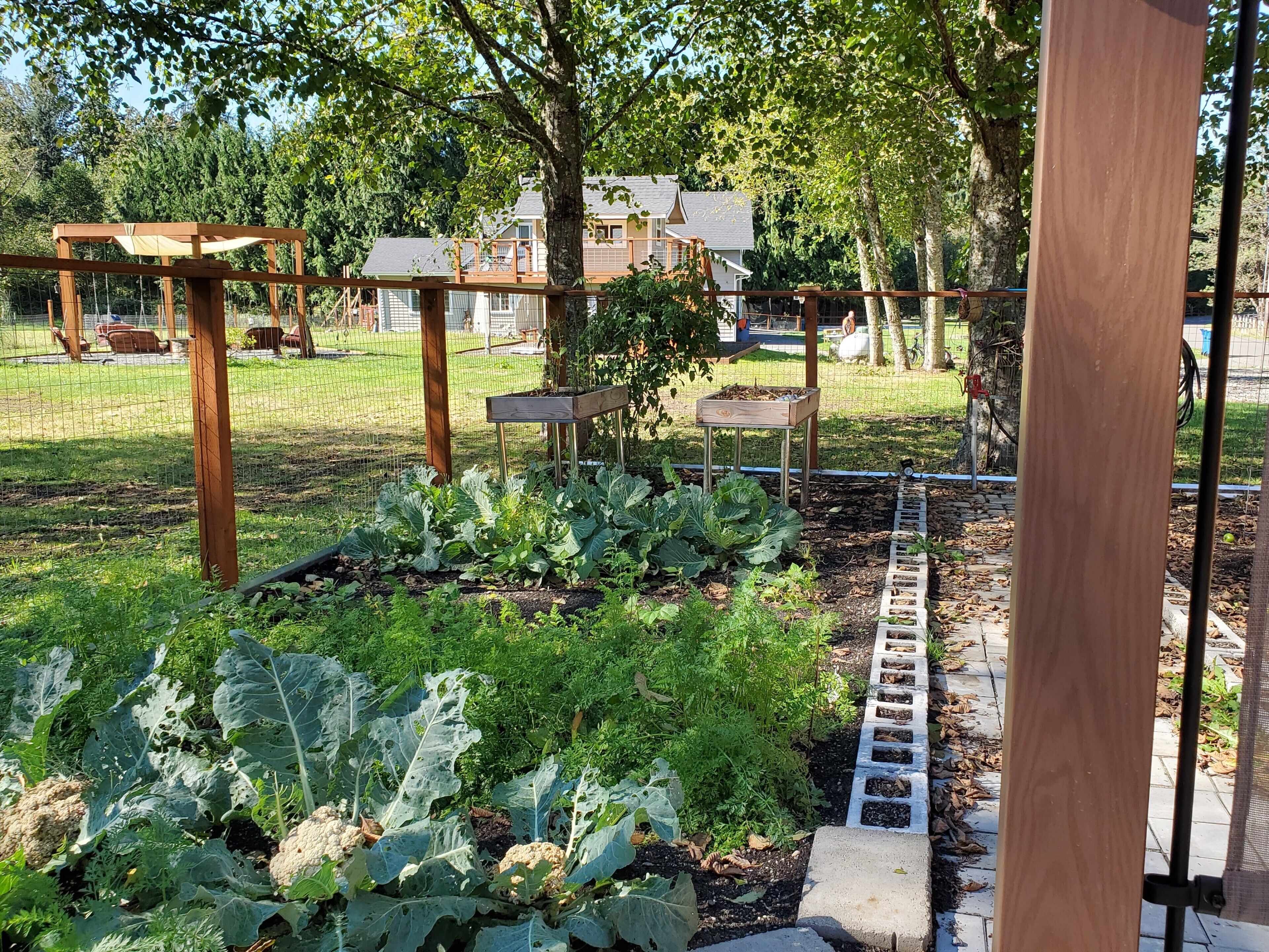 Un jardin avec des plates-bandes surélevées, une pergola en bois et un sentier.