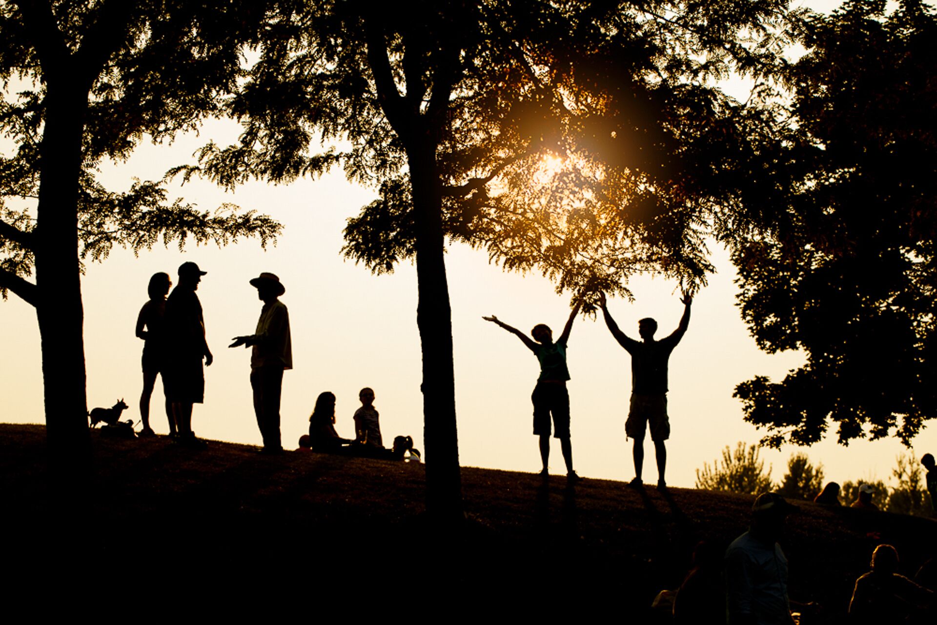 Silhouettes of people on a grassy hill with trees, under a sunset sky.