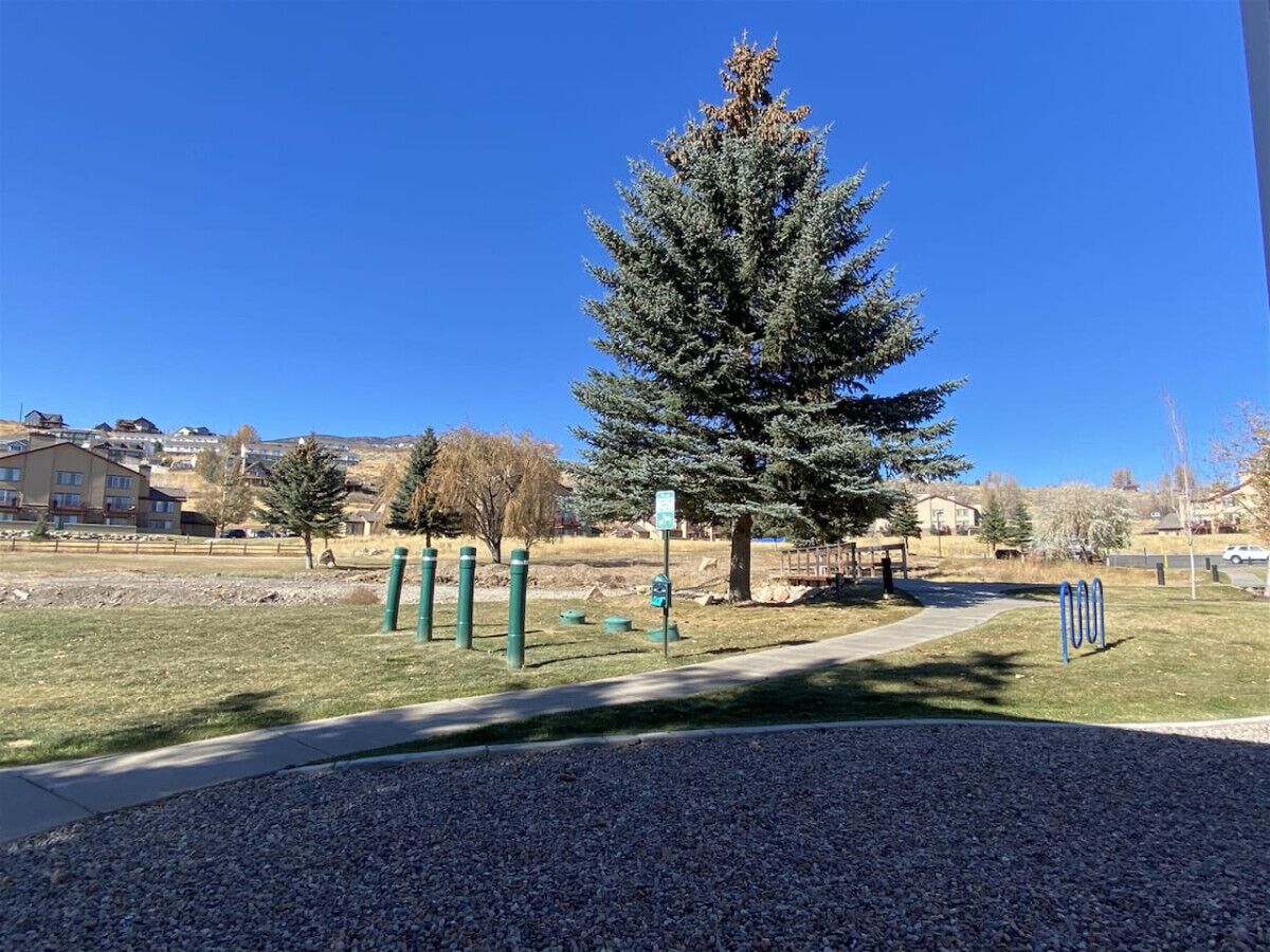 A park with a large evergreen tree, a playground with green equipment, and a clear blue sky.