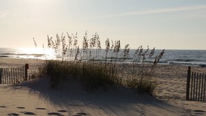 Una playa arenosa con pastos altos y una cerca de madera.