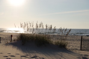 Een zandstrand met hoge grassen en een houten omheining.