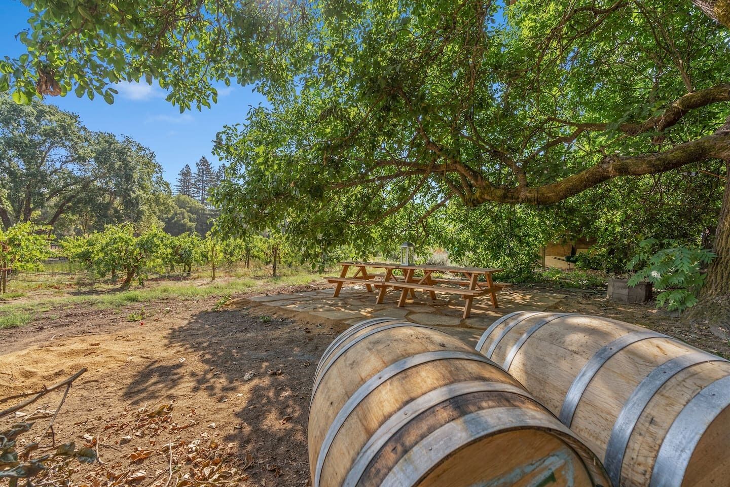 Wine Country Cottage sleeps 4, Healdsburg, Spa