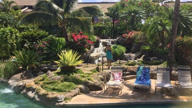 A tropical resort pool area with a waterfall, lounge chairs, and various tropical plants. -   Outstanding Location in Maui  South Kihei & Wailea  (Kihei)
