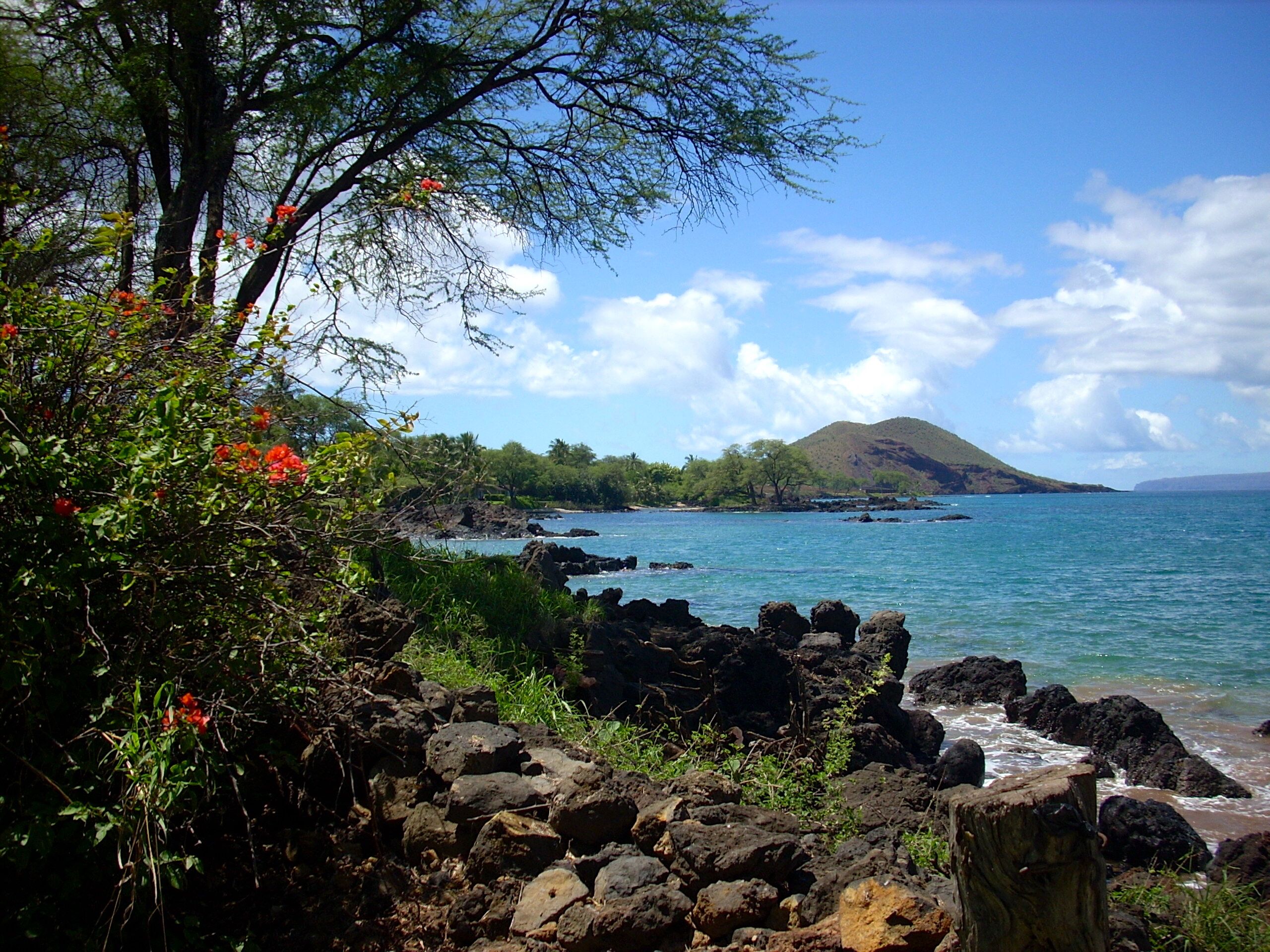 Beach nearby, sun loungers, beach towels