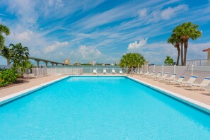 A clear blue pool with lounge chairs and a palm tree.