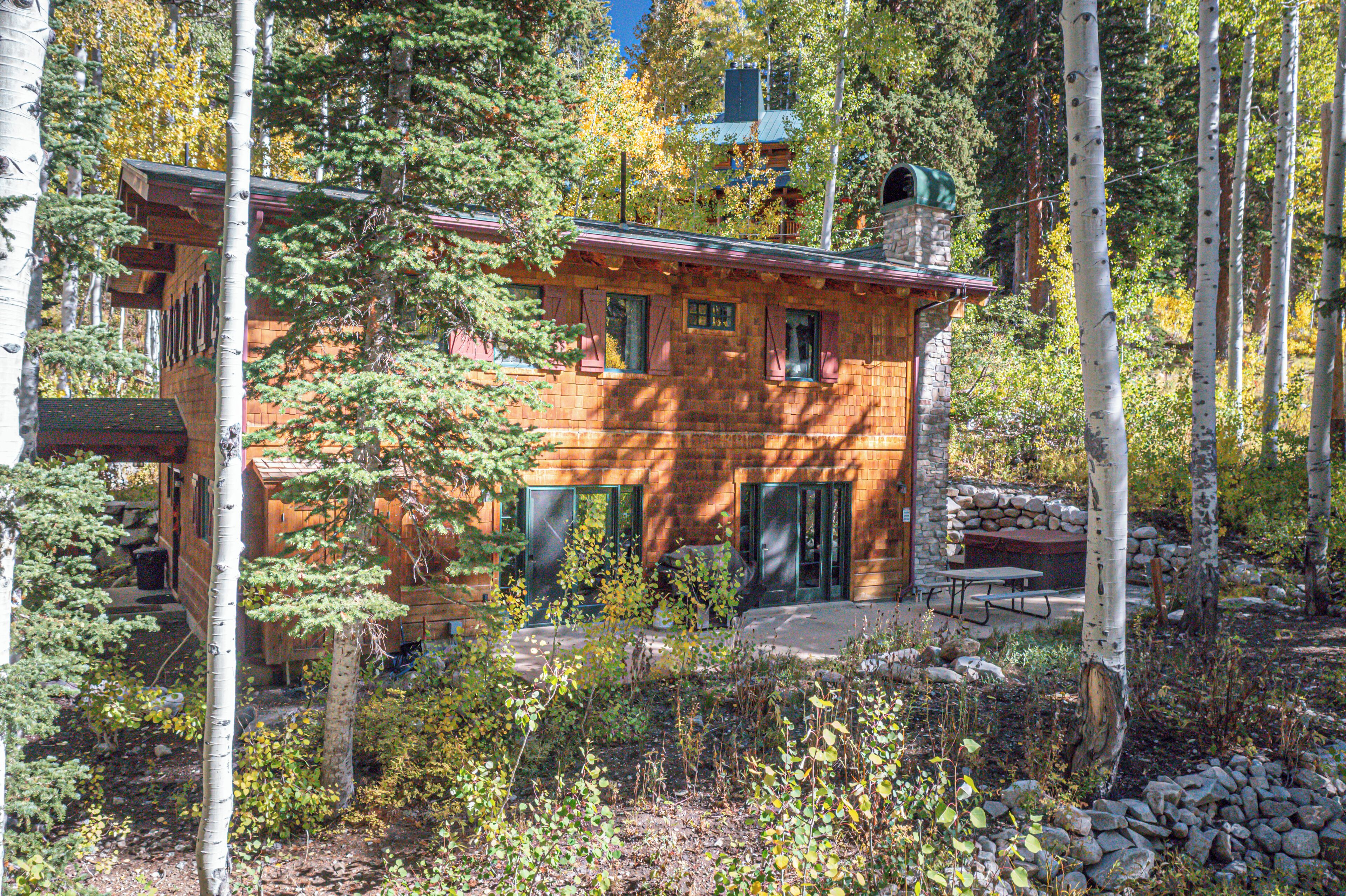 A rustic log cabin with a stone foundation, surrounded by a forest with birch trees.