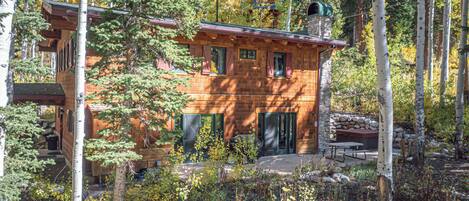 A rustic log cabin with a stone foundation, surrounded by a forest with birch trees.