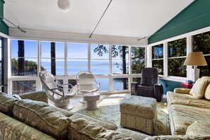 Smart TV, chimenea, reproductor de DVD y libros