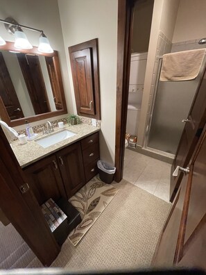 Combined shower/tub, hair dryer, bidet, towels