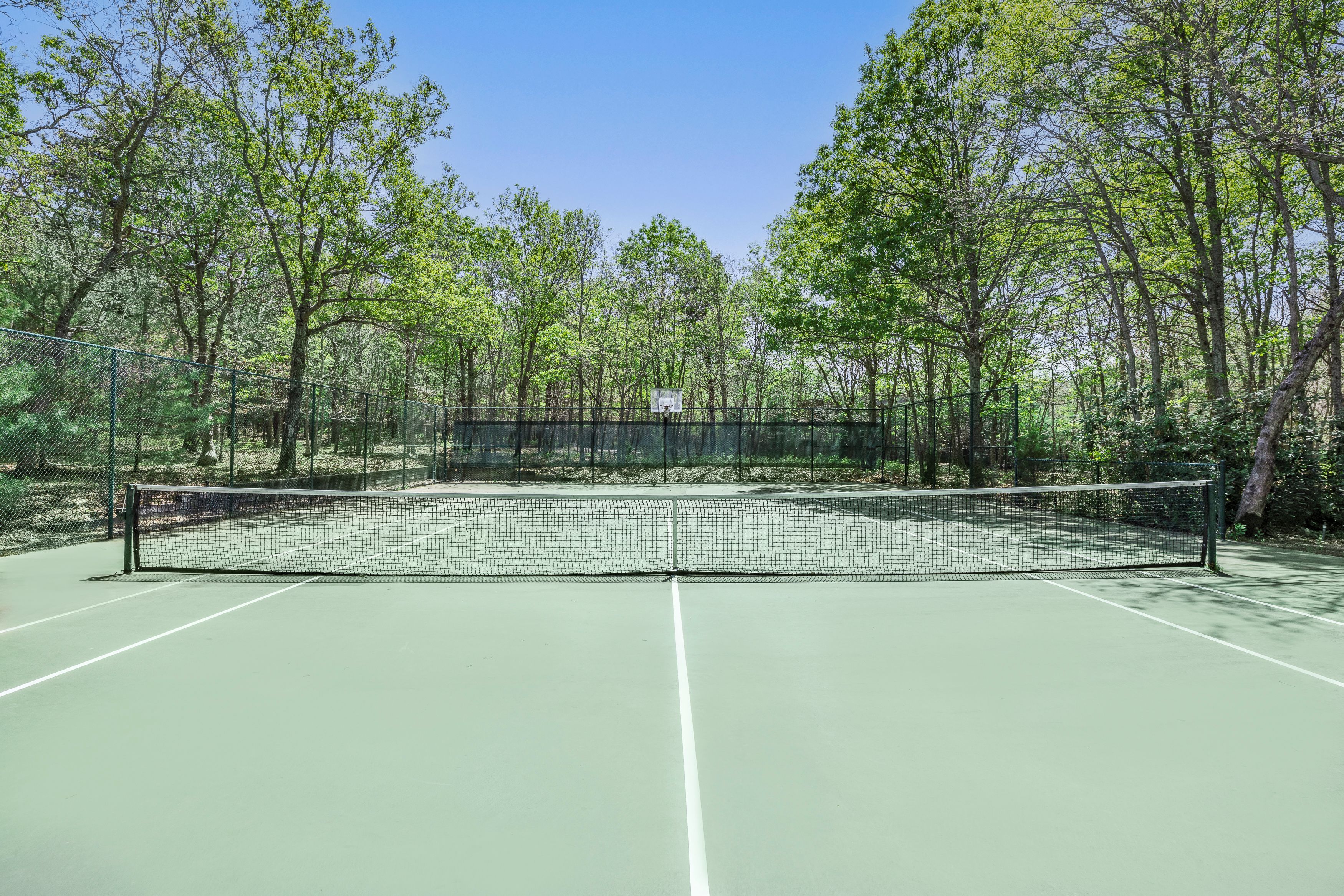 A tennis court surrounded by trees.