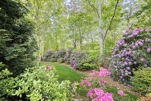 A garden with a variety of trees and flowering shrubs. - Contemporary East Hampton Retreat, Tennis + Pool (East Hampton)