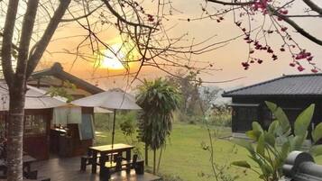 Spécialités Cuisine japonaise