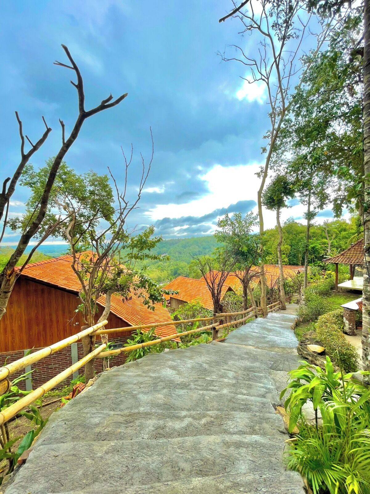 Premier-Zimmer, 1 King-Bett | Terrasse/Patio