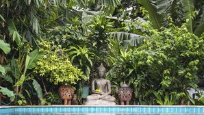 Outdoor pool, pool loungers - Top Villas (Karon)