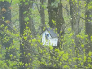 Standard Twin Room, Non Smoking, Mountain View | View from room - Cozy Inn Antique (Nasu)