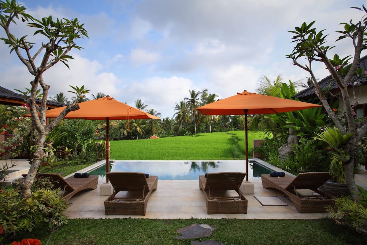 A poolside area with lounge chairs and orange umbrellas, surrounded by lush greenery and a view of a rice field.