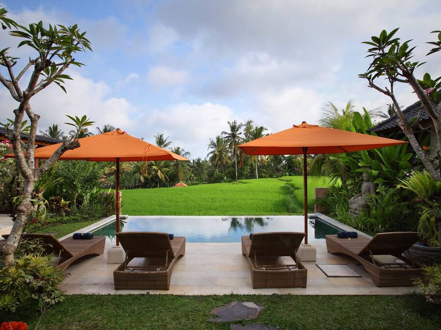 Villa, 4 habitaciones, piscina privada (Banana) | Vistas al jardín