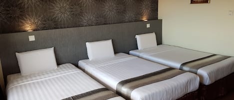 Desk, iron/ironing board, free WiFi