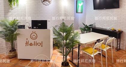 Tourist Bunny - Hostel