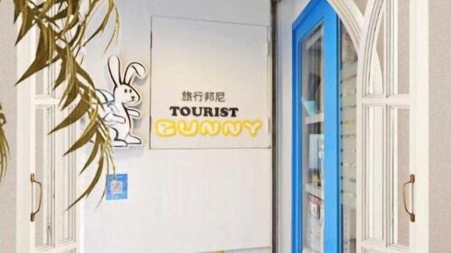 Tourist Bunny - Hostel