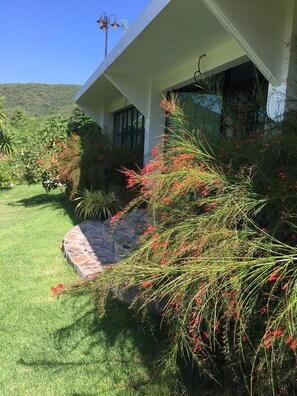 Vistas desde el alojamiento