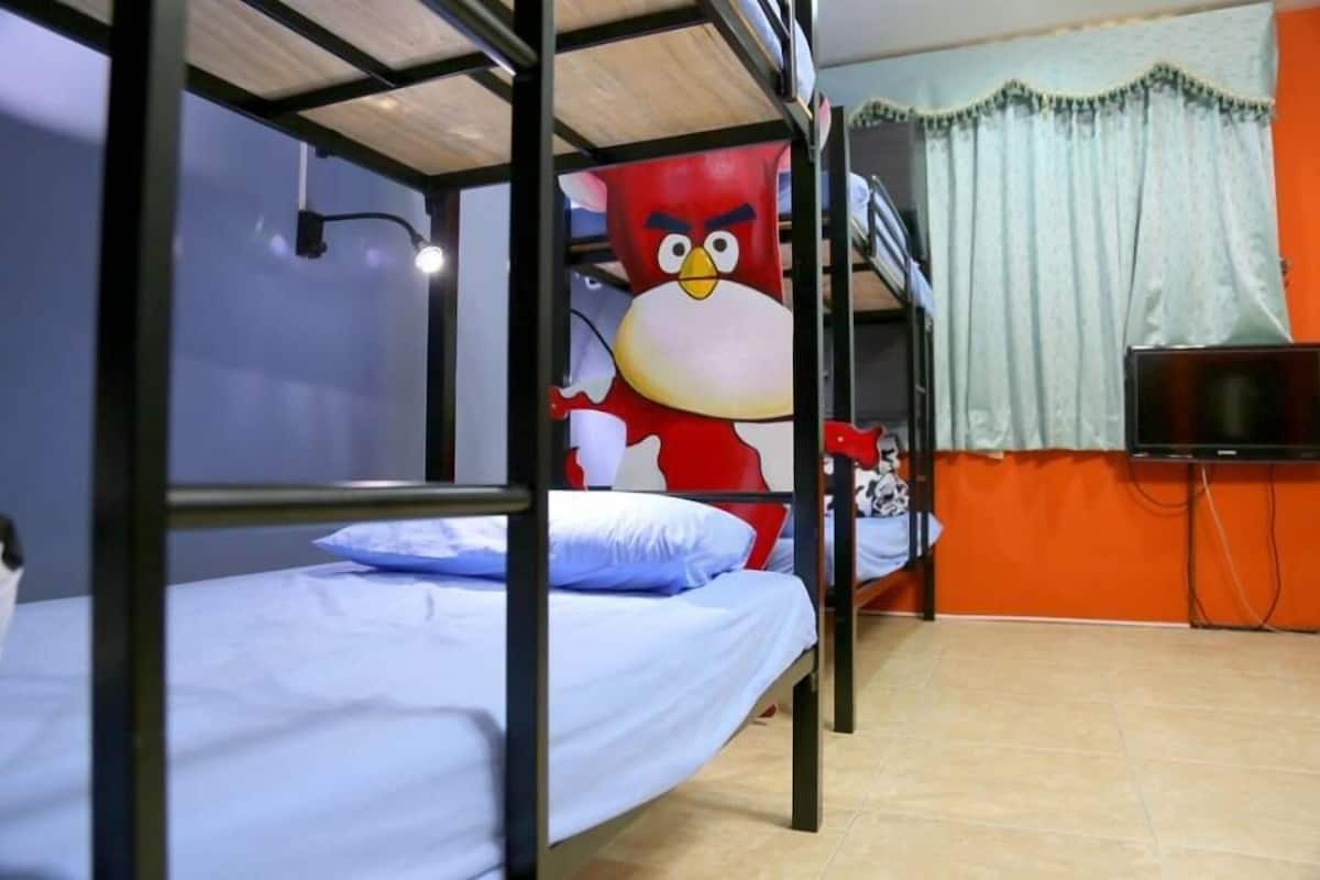 Basic Shared Dormitory, 1 Single Bed, City View