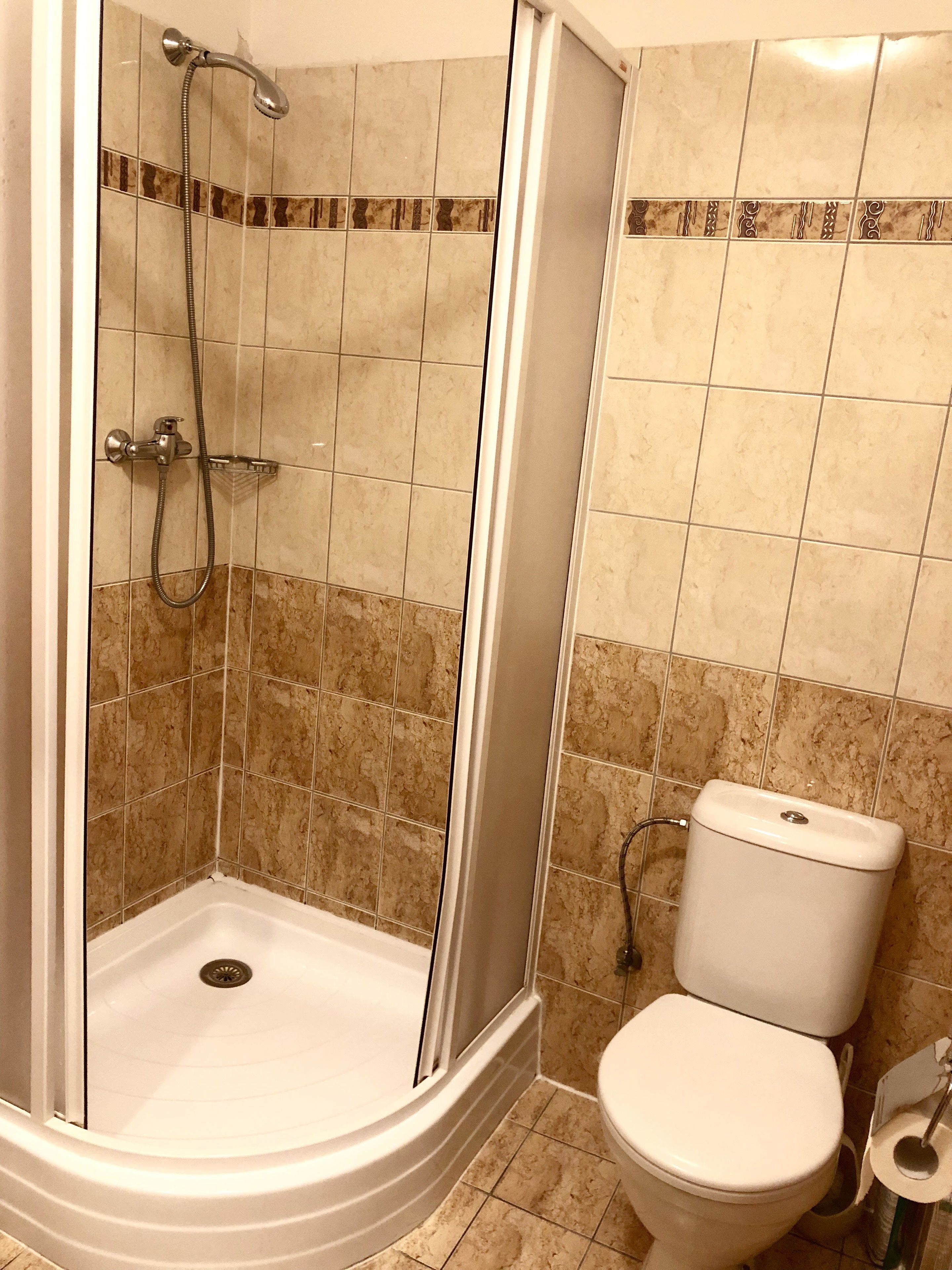 A bathroom with a shower, toilet, and a corner sink.