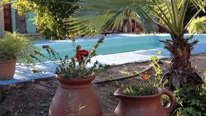 Ein Poolbereich mit Terrakottatöpfen, Pflanzen, einer Palme und Blick auf ein Schwimmbecken.