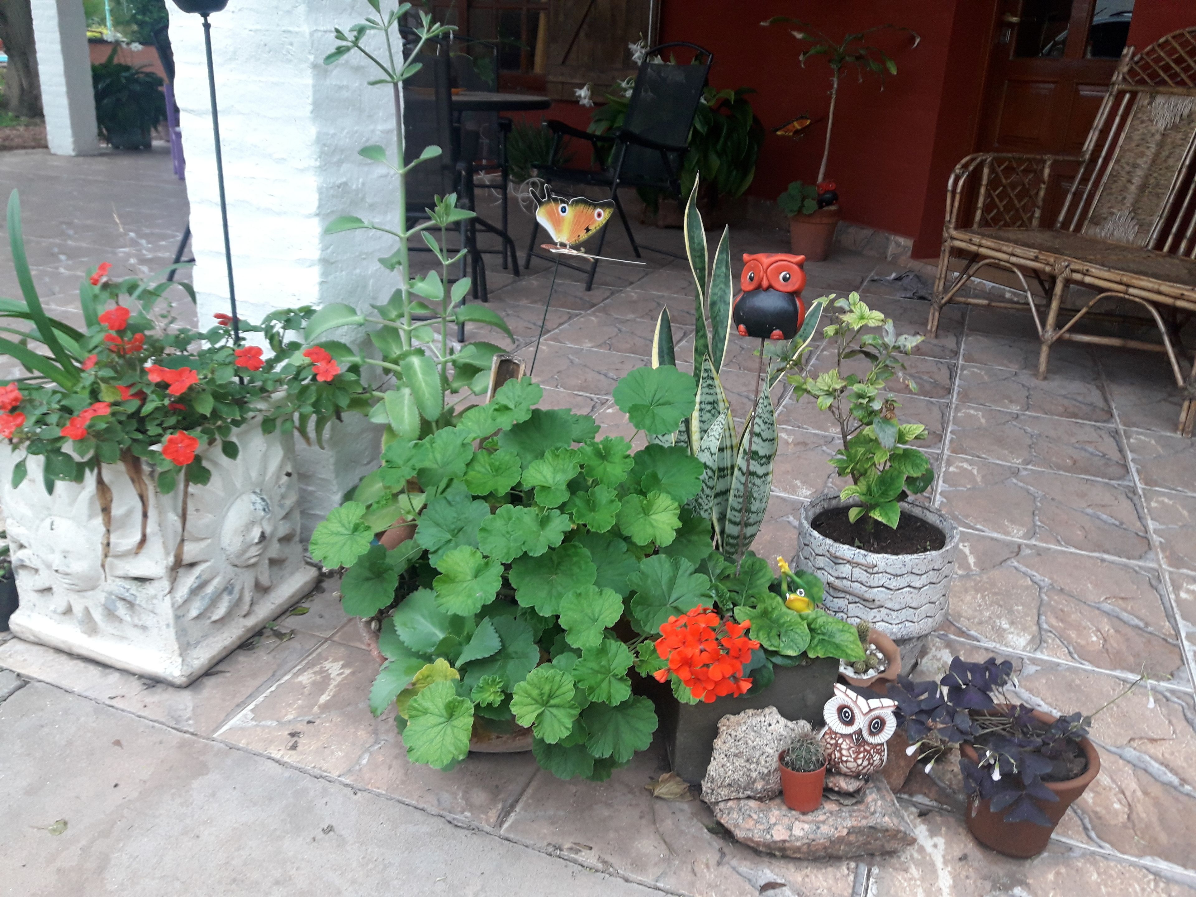 Um pátio com diversos vasos de plantas, piso de pedra e móveis para área externa.