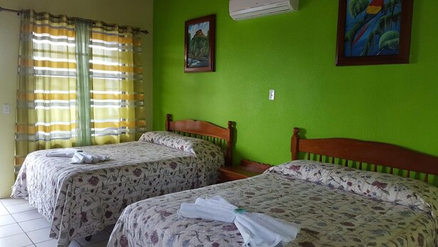 Una habitación con dos camas, paredes verdes, un cuadro y un aire acondicionado.