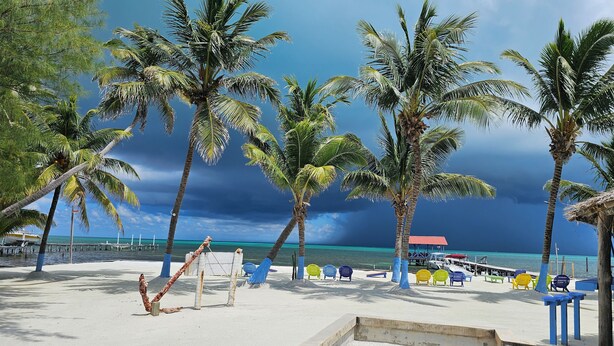 A beach with palm trees, a pier, and a boat dock. - Anchorage Beach Resort (Caye Caulker)