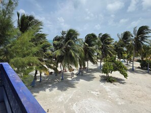A beach with palm trees and a sandy area with chairs and bicycles. - Anchorage Beach Resort (Caye Caulker)