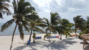 A beach with palm trees, a pier, and blue and red lounge chairs. - Anchorage Beach Resort (Caye Caulker)