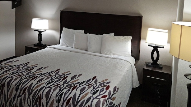 A hotel room with a large bed, two bedside tables, and two wall-mounted lamps. - Red Roof Inn Chicago - Alsip (Alsip)