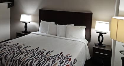 Red Roof Inn Chicago - Alsip