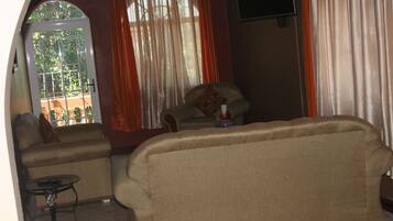 Flat-screen TV