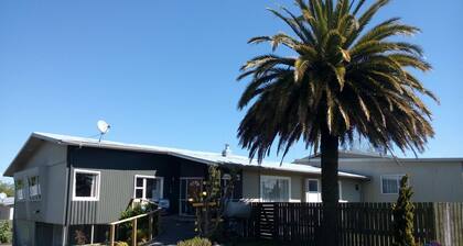 Berkenhoff Lodge - Hostel